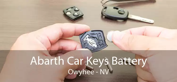 Abarth Car Keys Battery Owyhee - NV
