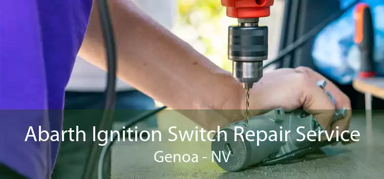 Abarth Ignition Switch Repair Service Genoa - NV