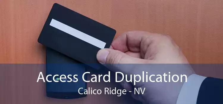 Access Card Duplication Calico Ridge - NV