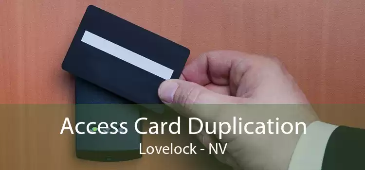 Access Card Duplication Lovelock - NV