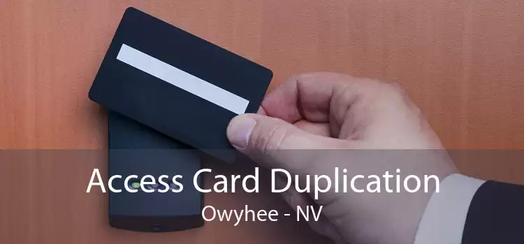 Access Card Duplication Owyhee - NV