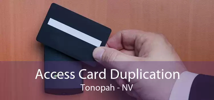 Access Card Duplication Tonopah - NV