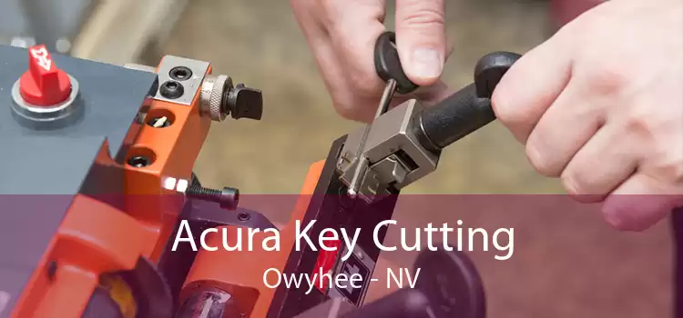 Acura Key Cutting Owyhee - NV