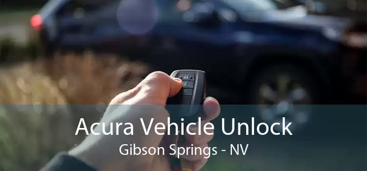 Acura Vehicle Unlock Gibson Springs - NV