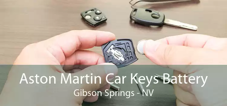 Aston Martin Car Keys Battery Gibson Springs - NV