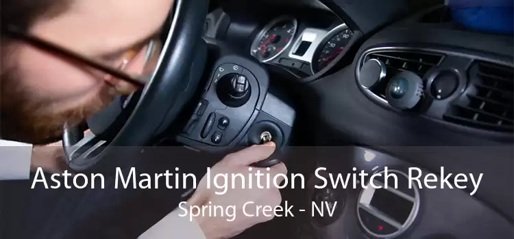 Aston Martin Ignition Switch Rekey Spring Creek - NV