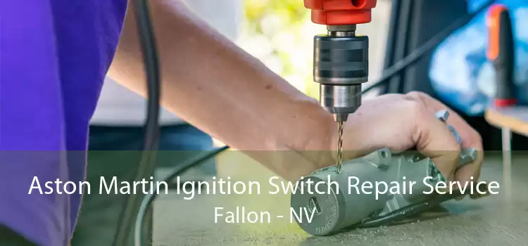 Aston Martin Ignition Switch Repair Service Fallon - NV