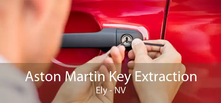 Aston Martin Key Extraction Ely - NV