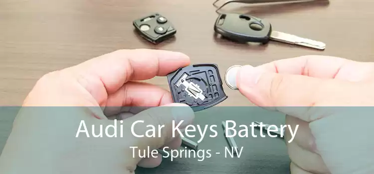 Audi Car Keys Battery Tule Springs - NV