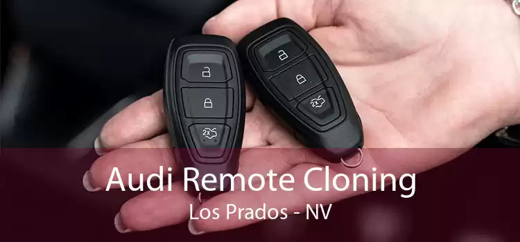 Audi Remote Cloning Los Prados - NV