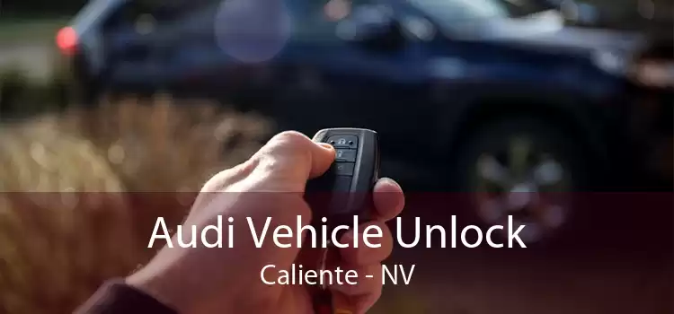 Audi Vehicle Unlock Caliente - NV