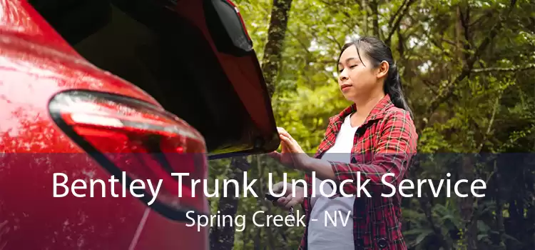Bentley Trunk Unlock Service Spring Creek - NV