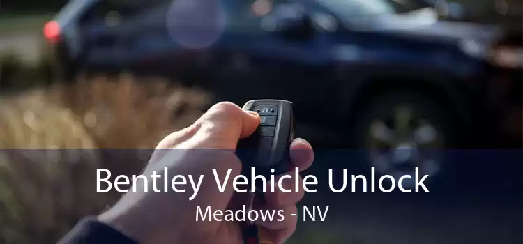 Bentley Vehicle Unlock Meadows - NV