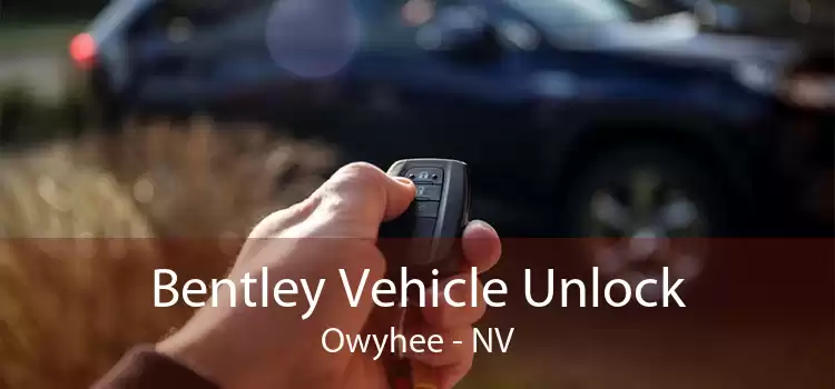 Bentley Vehicle Unlock Owyhee - NV
