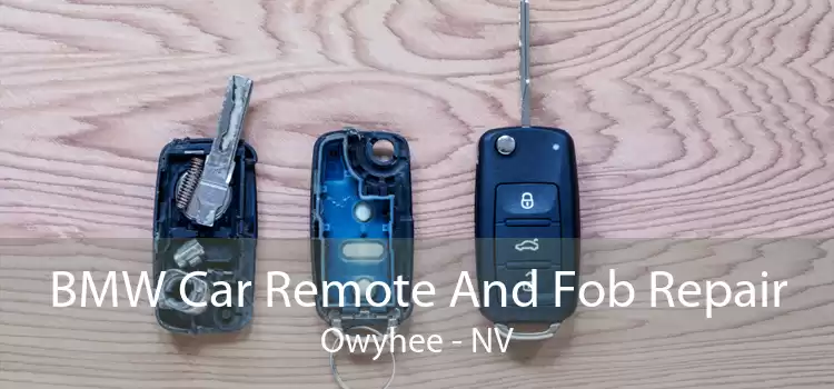 BMW Car Remote And Fob Repair Owyhee - NV
