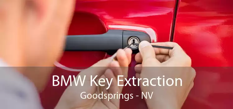 BMW Key Extraction Goodsprings - NV