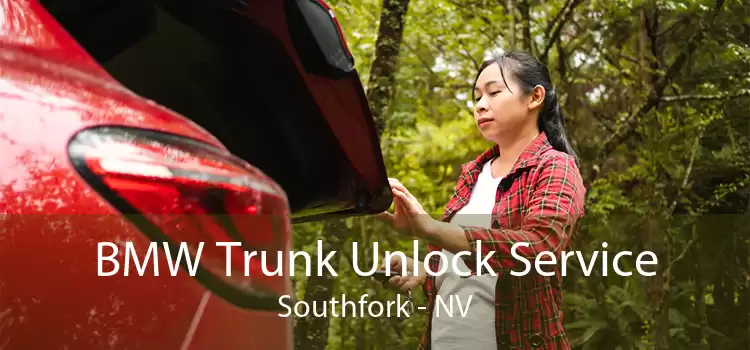 BMW Trunk Unlock Service Southfork - NV