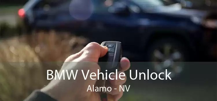 BMW Vehicle Unlock Alamo - NV