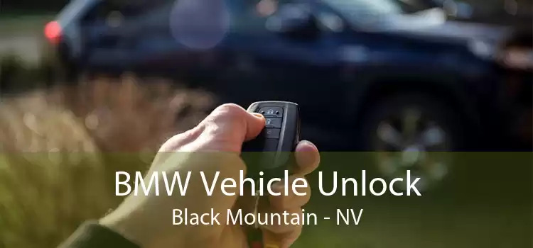 BMW Vehicle Unlock Black Mountain - NV