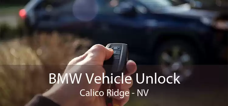 BMW Vehicle Unlock Calico Ridge - NV