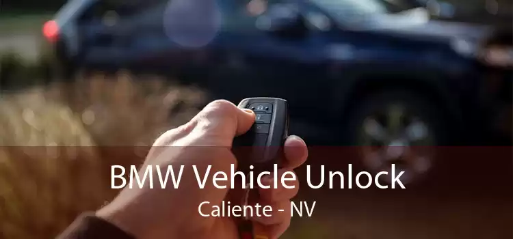 BMW Vehicle Unlock Caliente - NV