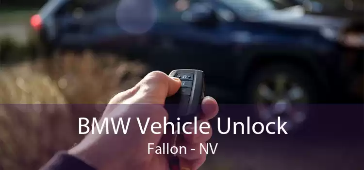 BMW Vehicle Unlock Fallon - NV