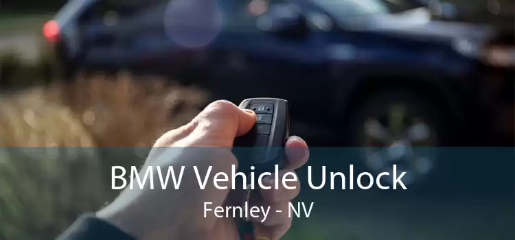 BMW Vehicle Unlock Fernley - NV