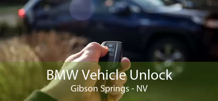 BMW Vehicle Unlock Gibson Springs - NV