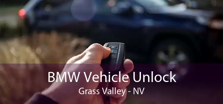 BMW Vehicle Unlock Grass Valley - NV