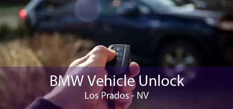 BMW Vehicle Unlock Los Prados - NV