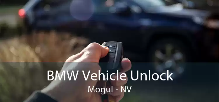 BMW Vehicle Unlock Mogul - NV