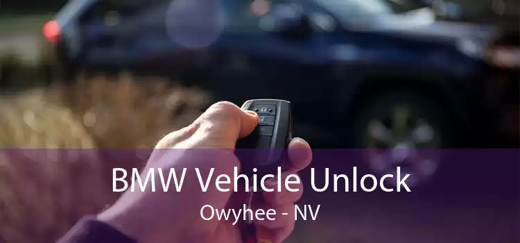 BMW Vehicle Unlock Owyhee - NV