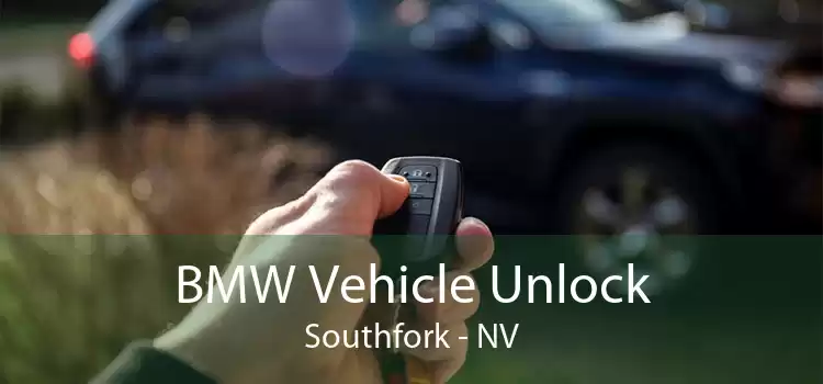 BMW Vehicle Unlock Southfork - NV