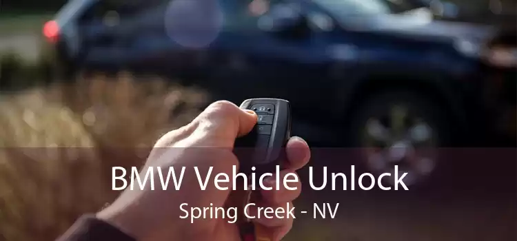 BMW Vehicle Unlock Spring Creek - NV