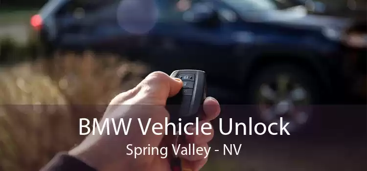 BMW Vehicle Unlock Spring Valley - NV