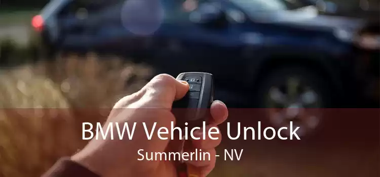 BMW Vehicle Unlock Summerlin - NV