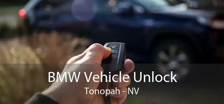 BMW Vehicle Unlock Tonopah - NV