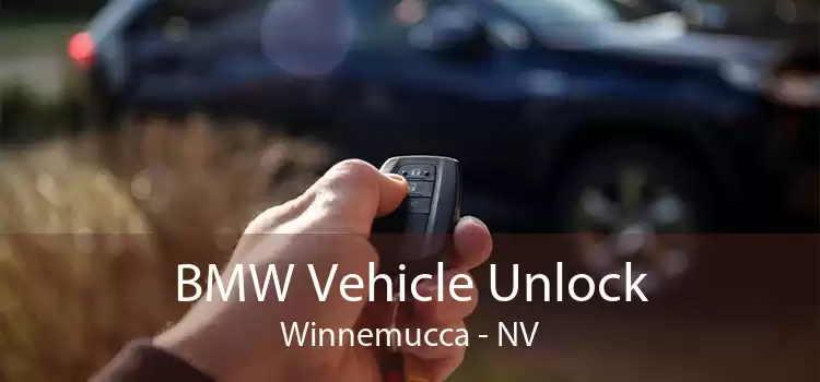 BMW Vehicle Unlock Winnemucca - NV