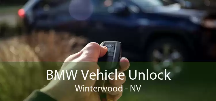 BMW Vehicle Unlock Winterwood - NV