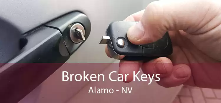 Broken Car Keys Alamo - NV