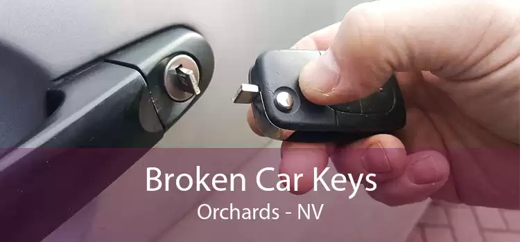 Broken Car Keys Orchards - NV