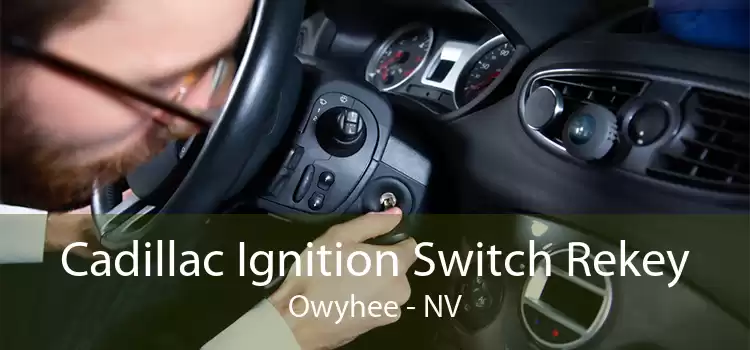 Cadillac Ignition Switch Rekey Owyhee - NV