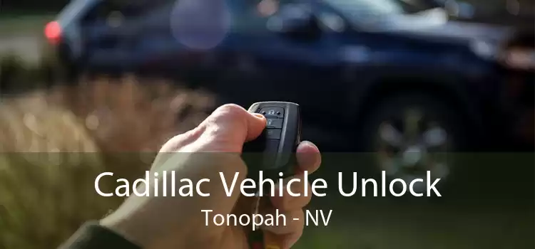 Cadillac Vehicle Unlock Tonopah - NV