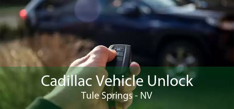 Cadillac Vehicle Unlock Tule Springs - NV