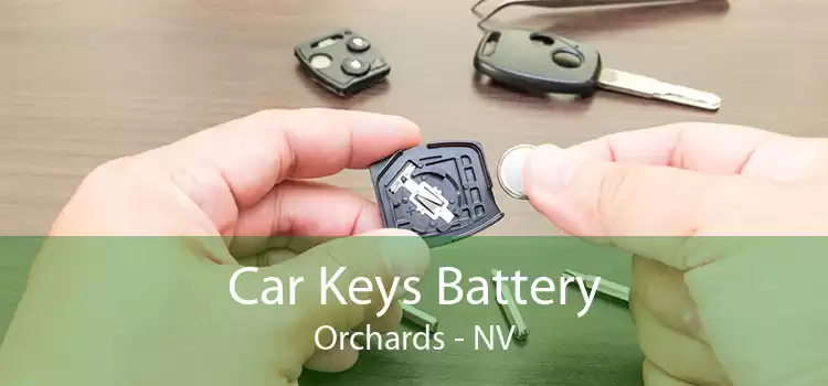 Car Keys Battery Orchards - NV
