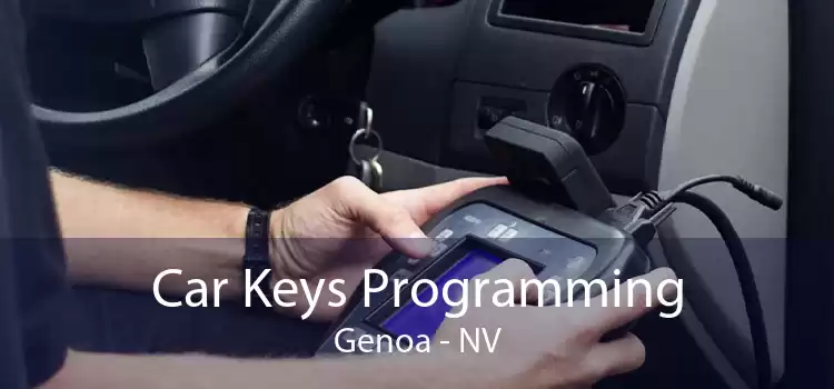 Car Keys Programming Genoa - NV
