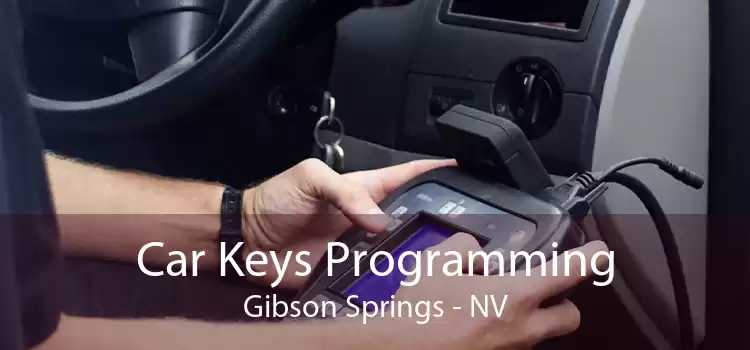 Car Keys Programming Gibson Springs - NV