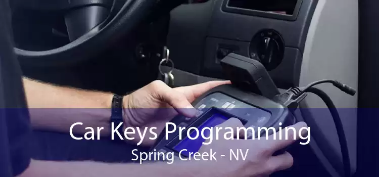 Car Keys Programming Spring Creek - NV