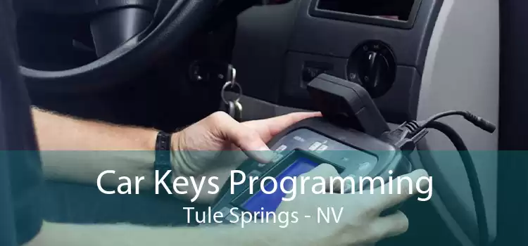 Car Keys Programming Tule Springs - NV