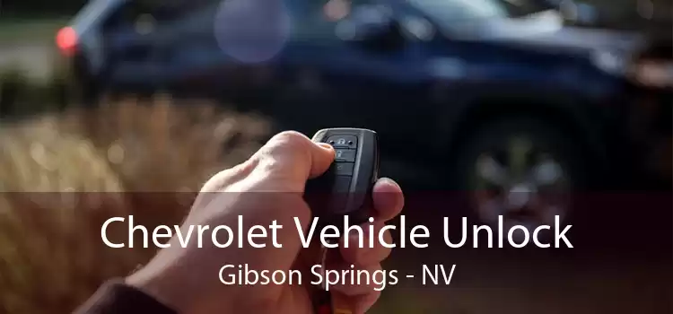 Chevrolet Vehicle Unlock Gibson Springs - NV